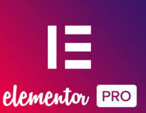 Elementor Pro